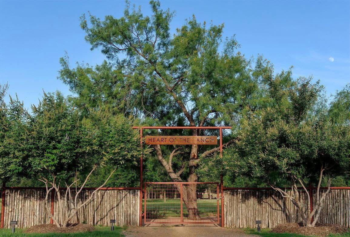 The red iron entry gate at Heart of the Ranch, under a large mesquite tree, with a cedar-post fence on either side